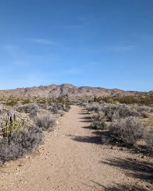 A hiking trail path in the desert of Joshua Tree National Park, California.