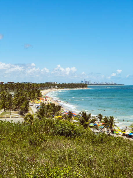 istock Paiva Beach, Cabo de Santo Agostinho 2082182263