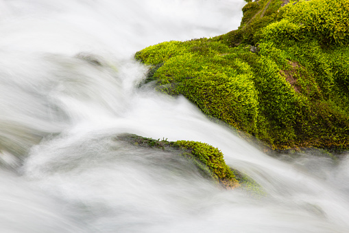 Close-up, long exposure of fresh mountain creek rapids over moss covered rocks.