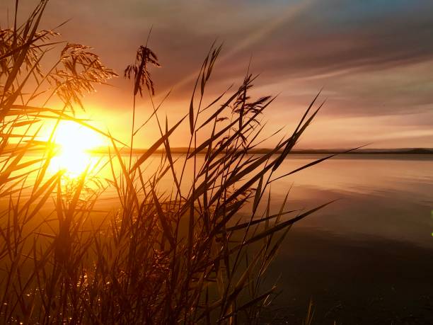 istock Sunset on Tuggerah Lake 2082187426