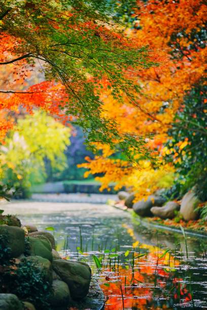 istock autum in shanghai 2082205271