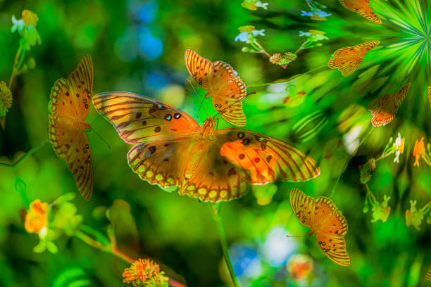 Nature's kaleidoscope: A mesmerizing butterfly flutters amidst a spiral of vibrant colors, set against a lush green vegetation backdrop, creating a captivating symphony of natural beauty.  #ButterflySpiral #NatureElegance