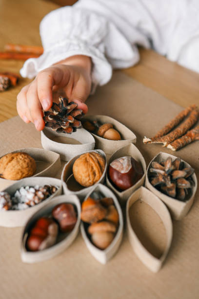 istock Montessori and Sensory Development, A child plays with natural materials 2082298948