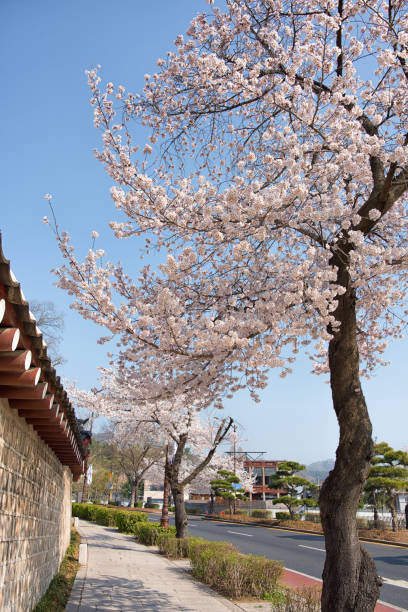 Seoul Samcheong-dong, Korea 서울 삼청동