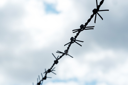 Silhouette of barbed wire fence across the frame, set against a backdrop of a cloudy sky, high contrast. Imprisonment, prison, jail, labor camp area abstract concept symbol, nobody. Lack of freedom