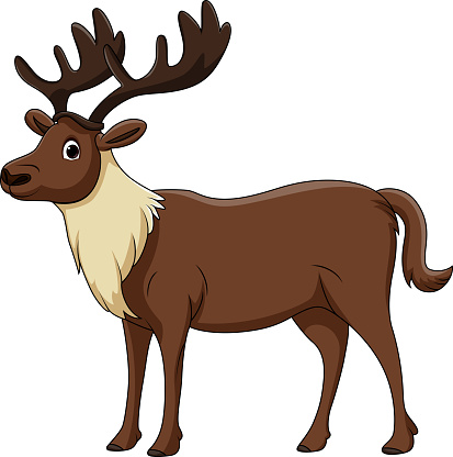 Cute reindeer cartoon on white background