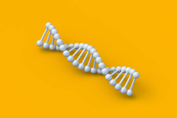 DNA structure on orange background. Spiral molecule model. Genetic biotechnology. Medical innovation technology. Genome evolution. 3d render