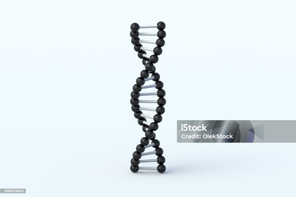 회색 배경에 하나의 Dna 구조 나선형 분자 모델 유전 생명 공학 의료 혁신 기술 게놈 진화 3d 렌더 3차원 형태에 대한 스톡 ...