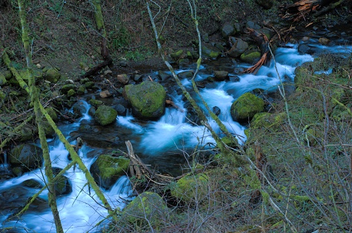 View from above water flowing over rocks in a stream in a lush woodland area, taken with a long exposure to produce motion blur. Taken on Ponytail Falls Hike, a hiking trail on the south bank of the Columbia River Gorge that has views of both the Horsetail and Ponytail Waterfalls, located to the east of Portland, Oregon.