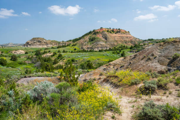 istock Scenery of Painted Canyon in Summer 2082375794