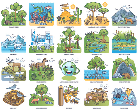 Types of habitats and various wildlife fauna examples outline collection set. Labeled elements with climate and biodiversity scenarios vector illustration. Nature ecosystem flora landscape selection.