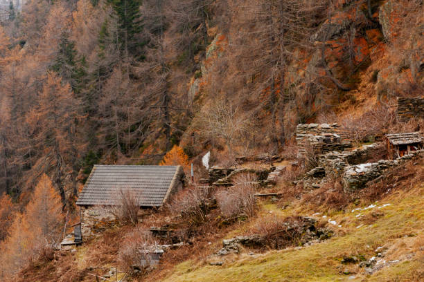 istock Piora valley, Ticino, Switzerland 2082515000