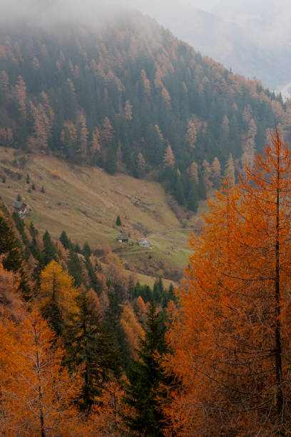 istock Piora valley, Ticino, Switzerland 2082515515