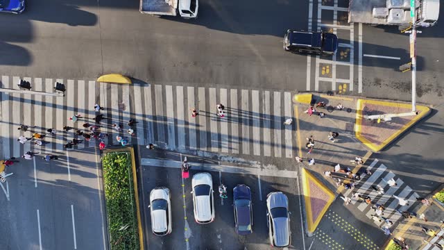 People walking on pedestrians crossing, Santo Domingo city in Dominican Republic. Aerial directly above