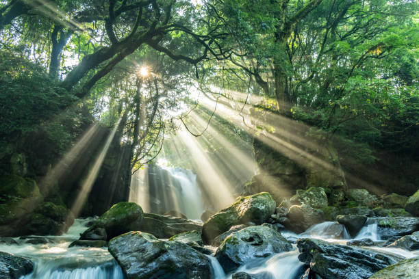 istock The light of Meoto Falls 2082543462