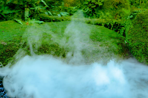 Mossy rocks and small streams covered with  cool steam at Chiang Mai province, Thailand.