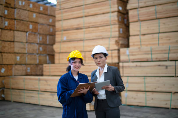 istock Blue collar workers  are working at wood factory. 2082622829