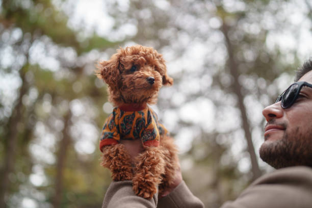 Canin Dog with it's owner.