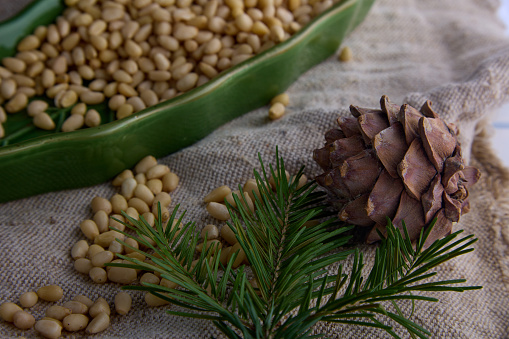 Cedar cones and a coniferous branch on the background of old burlap in a ceramic plate. Lot of peeled pine nuts in a green plate in the shape of a leaf on burlap.