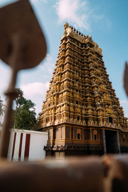 temple nallur kandaswamy à jaffna, sri lanka - gopuram architecture and buildings temple sri lanka photos et images de collection