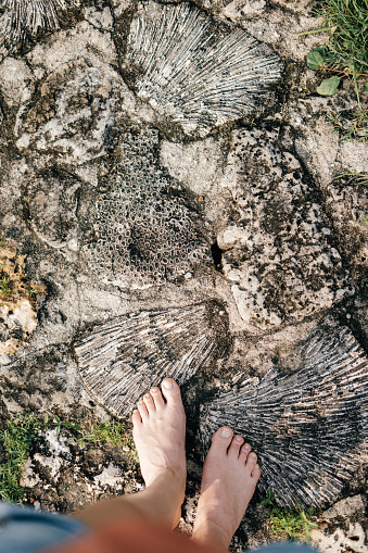 A person stands barefoot on an intriguing rock surface with fossil-like patterns, connecting human and geological history