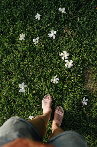 A personal perspective shows feet amongst fallen white plumeria flowers on a lush green grassy background