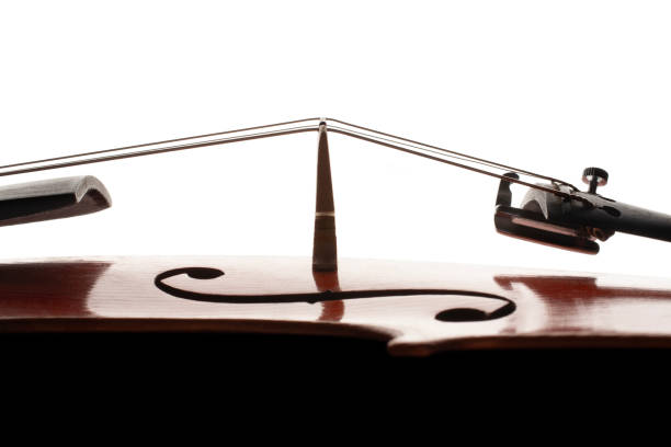 violin - violin cello music letter f photos et images de collection