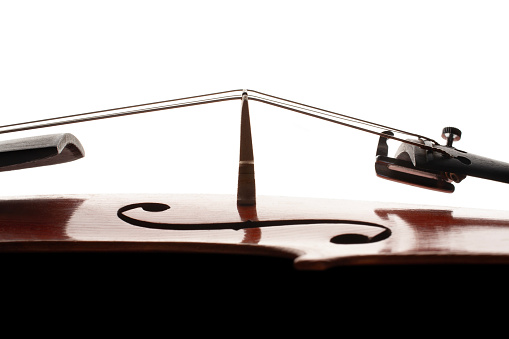 Violin bridge. Detail of violin isolated on white background.