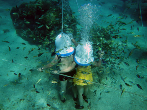 snorkeling under water on bali island, indonesia - lembongan obrazy zdjęcia i obrazy z banku zdjęć