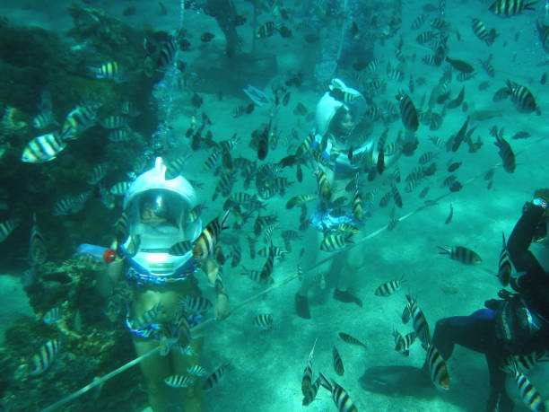nurkowanie z rurką pod wodą na wyspie bali, indonezja - lembongan obrazy zdjęcia i obrazy z banku zdjęć