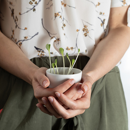 Hands cradling a bowl with delicate green seedlings sprouting