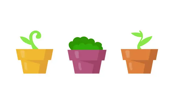 Vector illustration of Vector flat houseplant collection