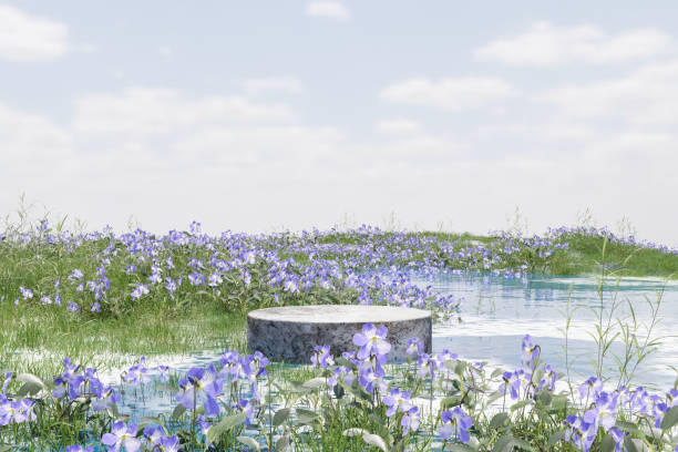 istock Abstact 3d render spring scene and Natural background, Stone podium on the flowers and grass field in the lake for product display, advertising, mockup, cosmetic or etc 2082805915