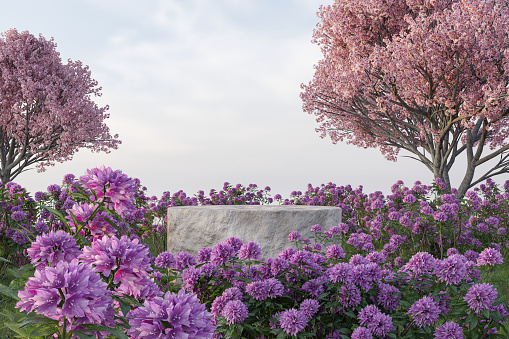 Abstact 3d render spring scene and Natural background, Stone podium on the pink flowers and grass field with cherry blossom tree for product display, advertising, mockup or etc