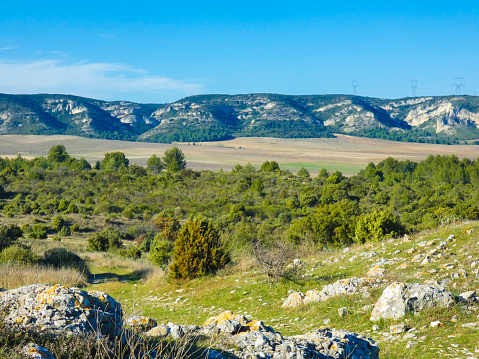 Photo of a magnificent landscape in the Alpilles with the Orgon plateau in the background. This nature photograph was taken in Provence in France.