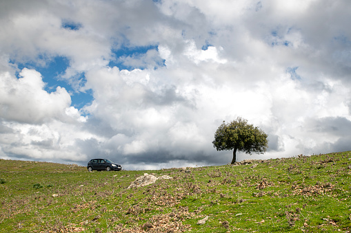 Tree and car under the clouds