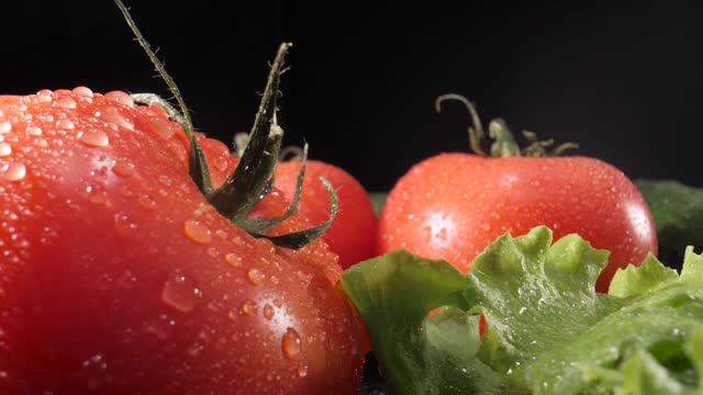 Splashes of water fall on the tomatoes and other vegetables. Close up. Black background