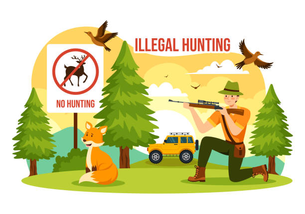 illegal hunting vector illustration by shooting, taking wild animals and plants to sell in flat cartoon background design - no fishing stock illustrations