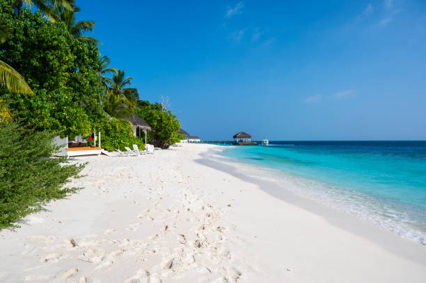 istock Tropical structure with a thatched roof on a beautiful sandy beach. Dense green forest with palm trees. 2082910526