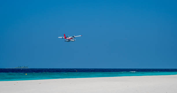 istock Seaplane fly low above sea level by the sandy beach. 2082910528