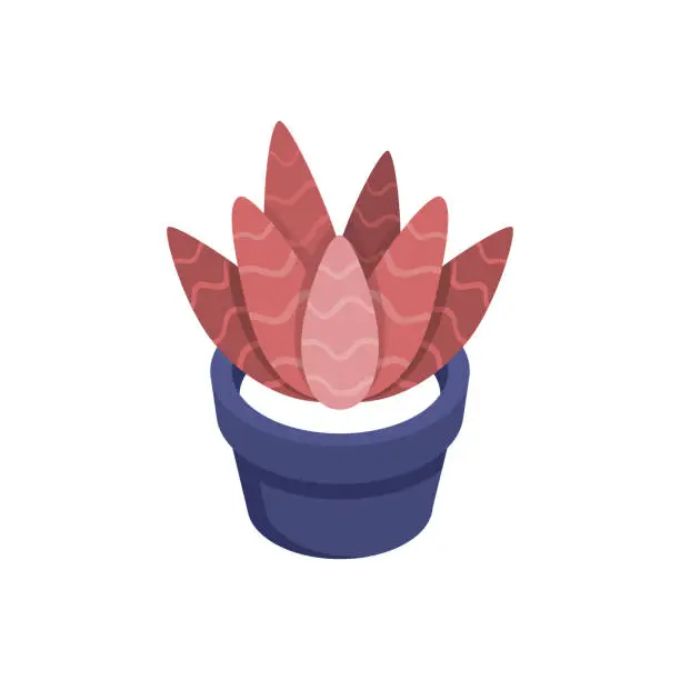 Vector illustration of Vector organic flat houseplant