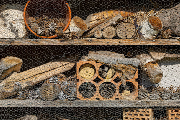istock an insect hotel behind a metal grid 2082919481