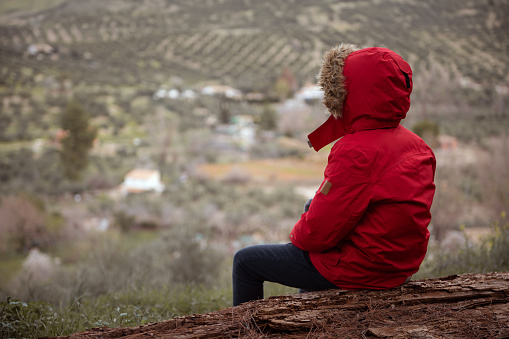 Teenager boy sitting on the log back to camera, admiring mountains landscape. Rear view of child traveler adventurer hiker in red parka with further hood, against mountains background, admiring nature