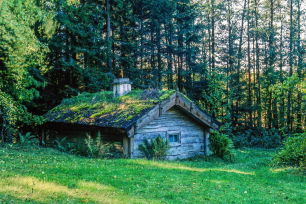 Scenic  wooden mountain hut on the golden meadow with background view of the snicapped mountains in Rondane National Park, Norway