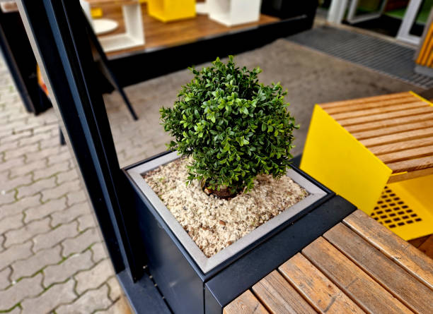 a pergola with slatted sides protects against the sun. a flowerpot with an evergreen buxus plant. seating in front of the cafe made of wooden elements, striped blinds and metal cables - outdoors store beach bench zdjęcia i obrazy z banku zdjęć