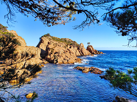 Beautiful sunny coast of Cala Aigua Xelida, Tamariu. Rocky shore, cliffs, blue water, green pine trees. Costa Brava, Begur, Girona, Catalonia, Spain