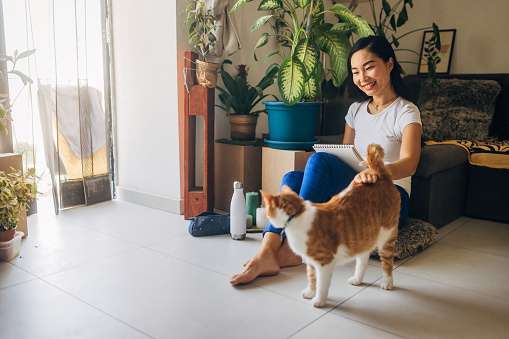 A Taiwanese woman graphic designer sits on the living room floor and draws, while her yellow and white cat happily walks around her