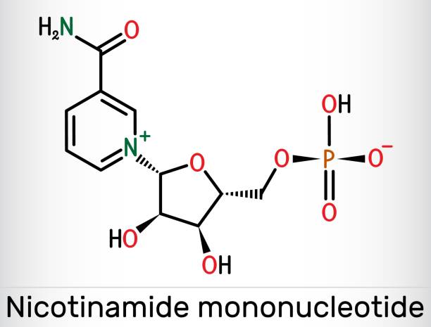 nicotinamide-mononucleotide-nmn-molecule-it-is-naturally-anti-aging-metabolite-precursor-of.jpg?s=612x612&w=0&k=20&c=k7P36X62D3au0lqIQQOugFT0ECehRNYPC-uSaMgzb8o=