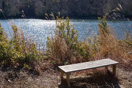 [Lake Mikawa] Wooden bench on the lakeshore.