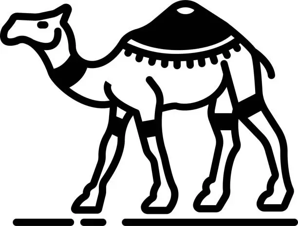 Vector illustration of Dromedary glyph and line vector illustration